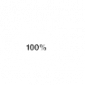 100% finance 100% finance